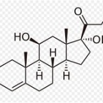Cortisol image