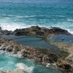 Tide pool image